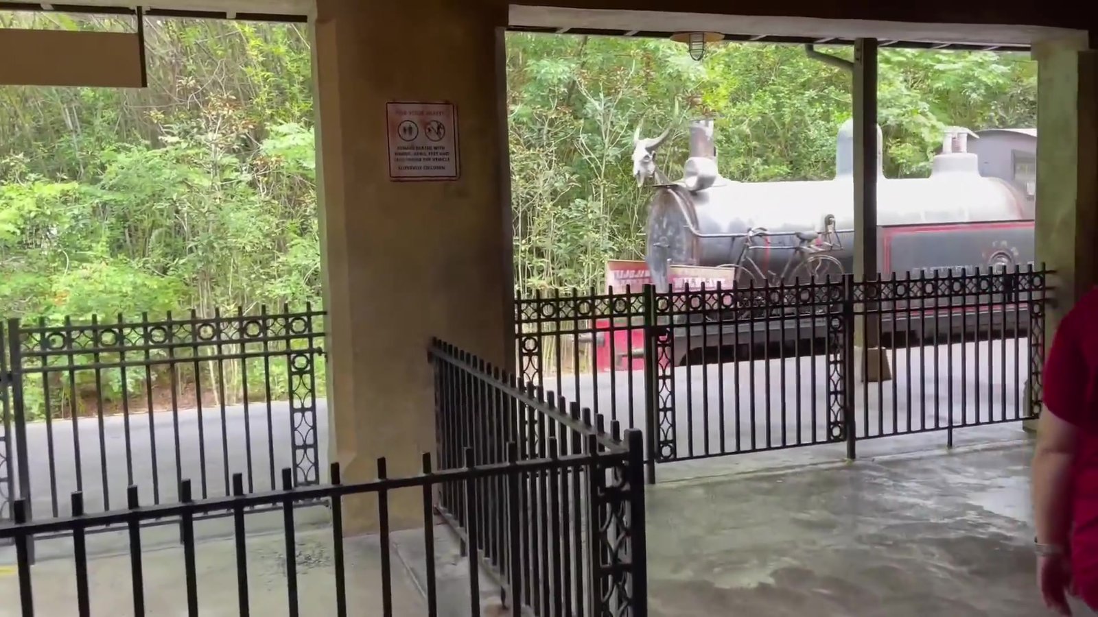 Locomotiva do Wildlife Express Train chegando na estação da área da África, no Animal Kingdom