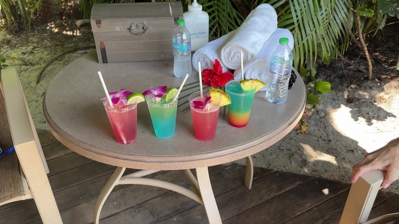 Drinks coloridos com flores e frutas na mesa da cabana do Discovery Cove