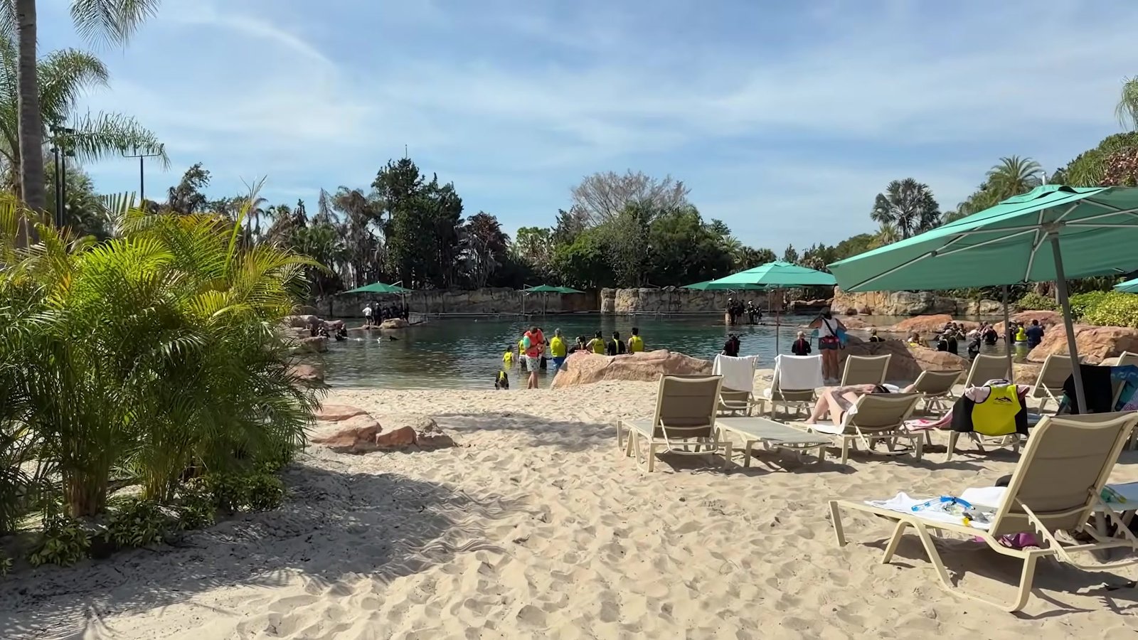 Cadeiras de praia na areia do Discovery Cove, com guarda-sóis verdes e a lagoa ao fundo