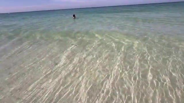 Água transparente e rasa de Anna Maria Island, com o fundo de areia visível