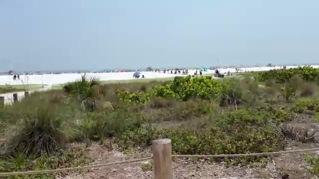 Faixa de areia branca imensa da Siesta Beach, com dunas de vegetação em primeiro plano e o mar ao fundo