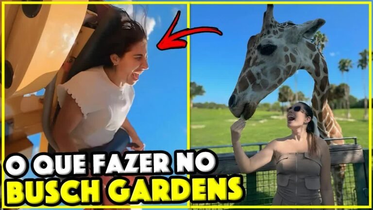 Gabi gritando na montanha-russa e alimentando uma girafa no Busch Gardens em Tampa