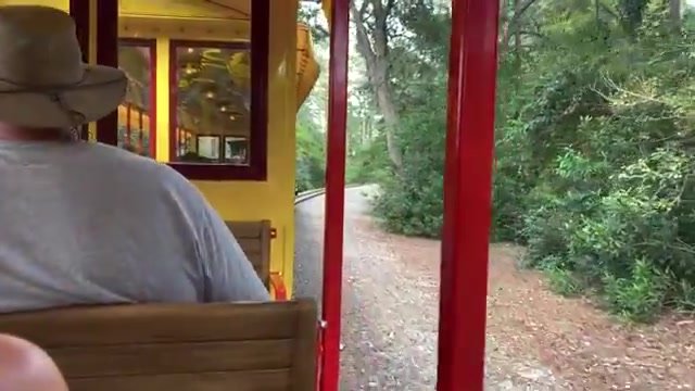 Vista do trem do Magic Kingdom para uma trilha de terra e vegetação nos fundos da Frontierland