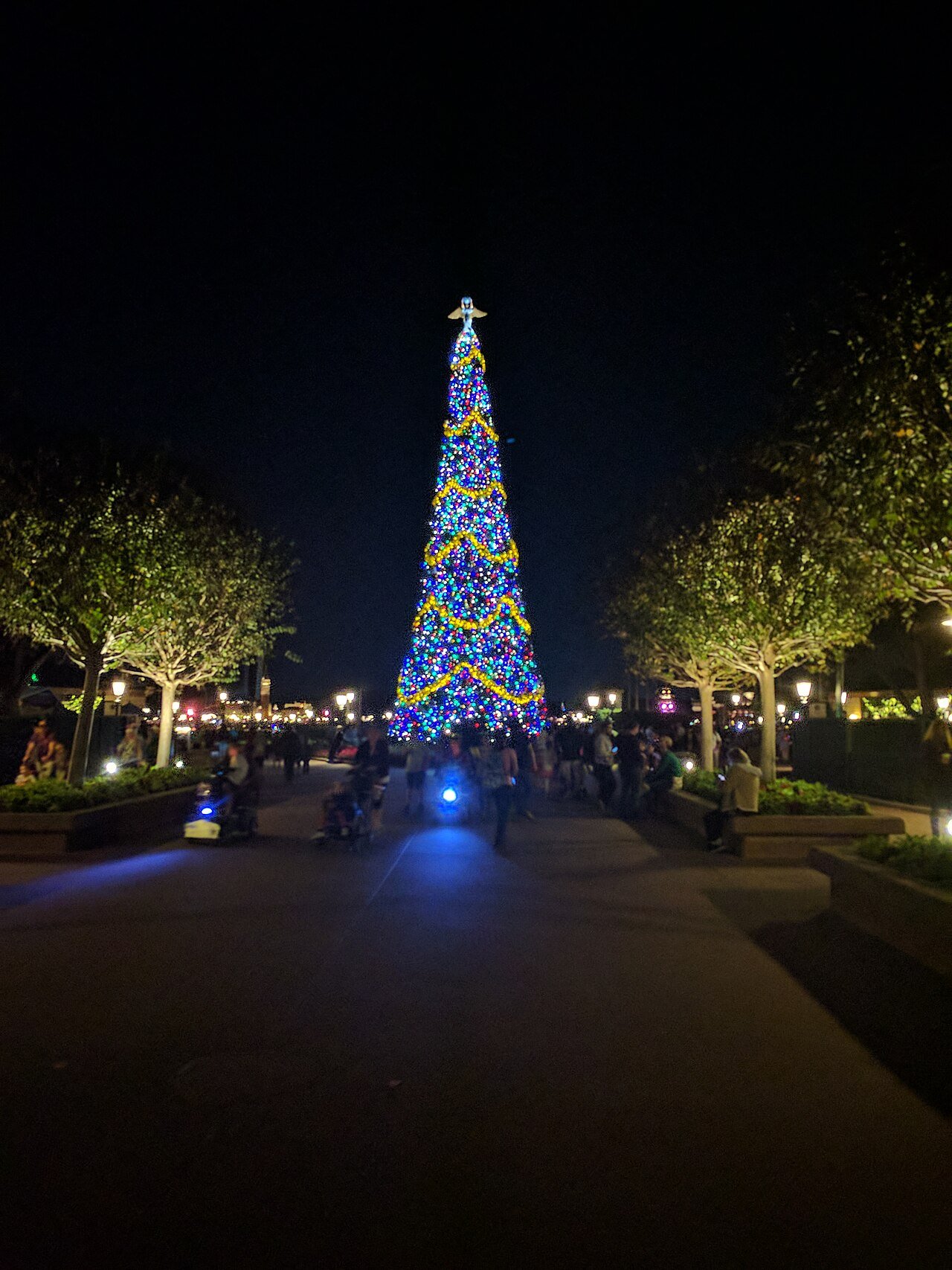 Árvore de Natal gigante iluminada na entrada do Epcot