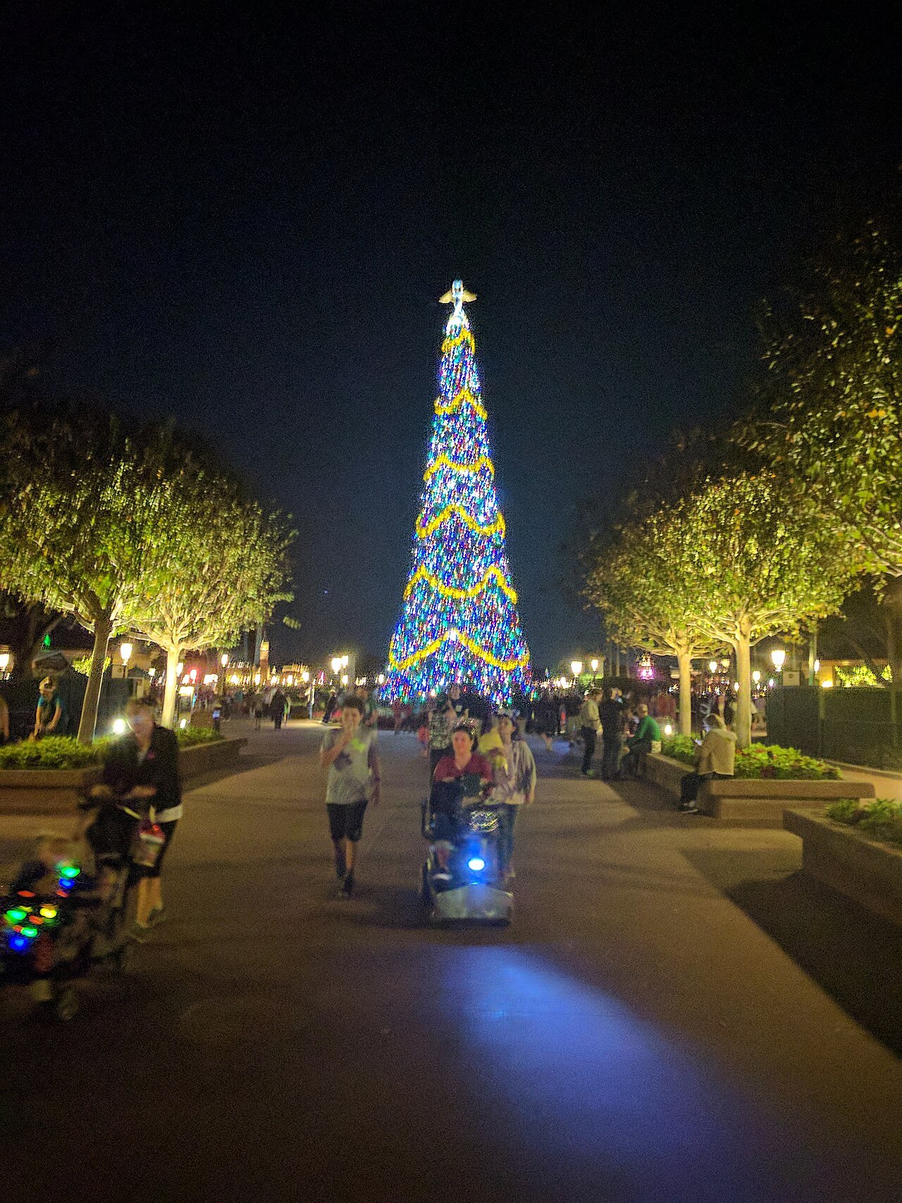 Árvore de Natal iluminada na entrada do Epcot